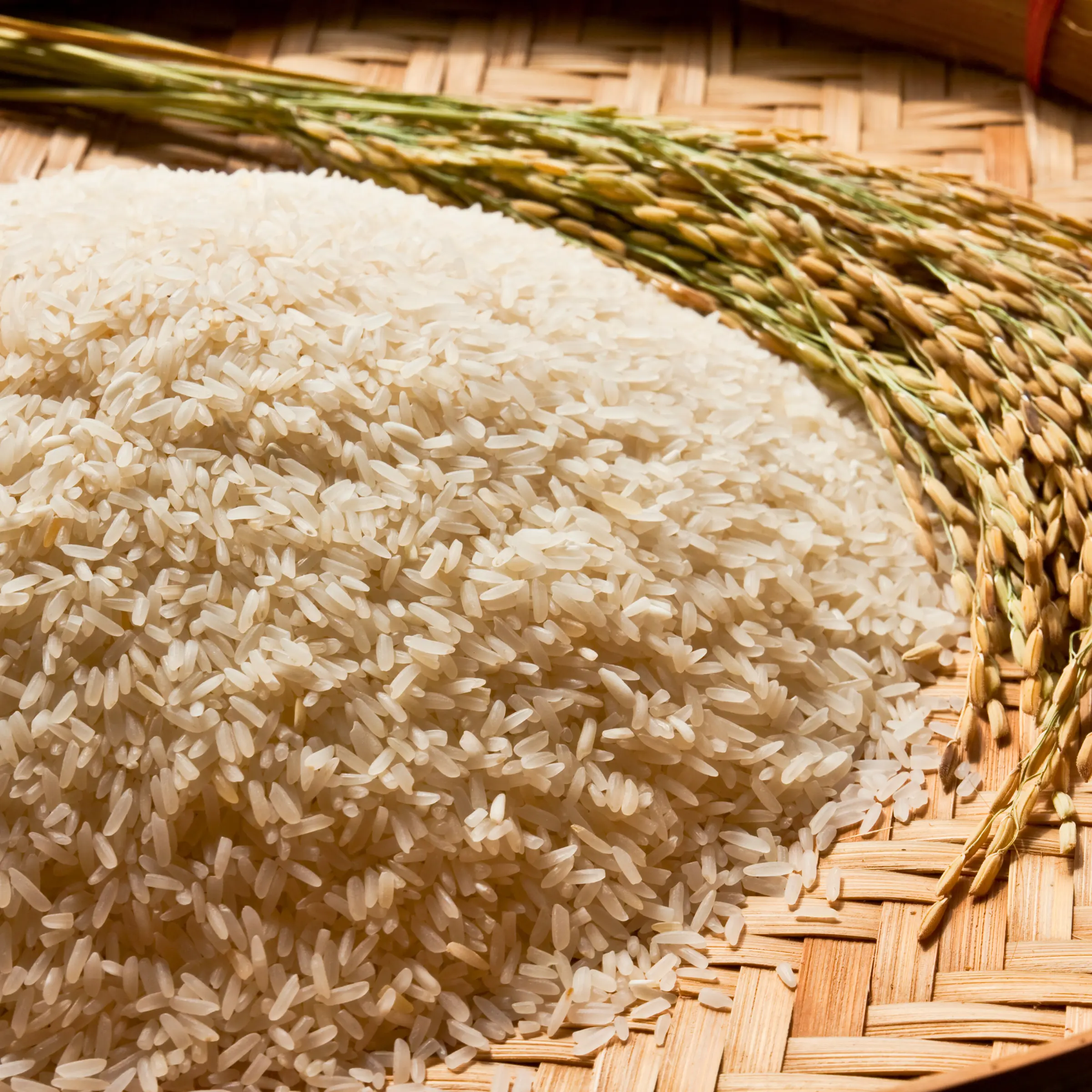 High Quality Rice Production